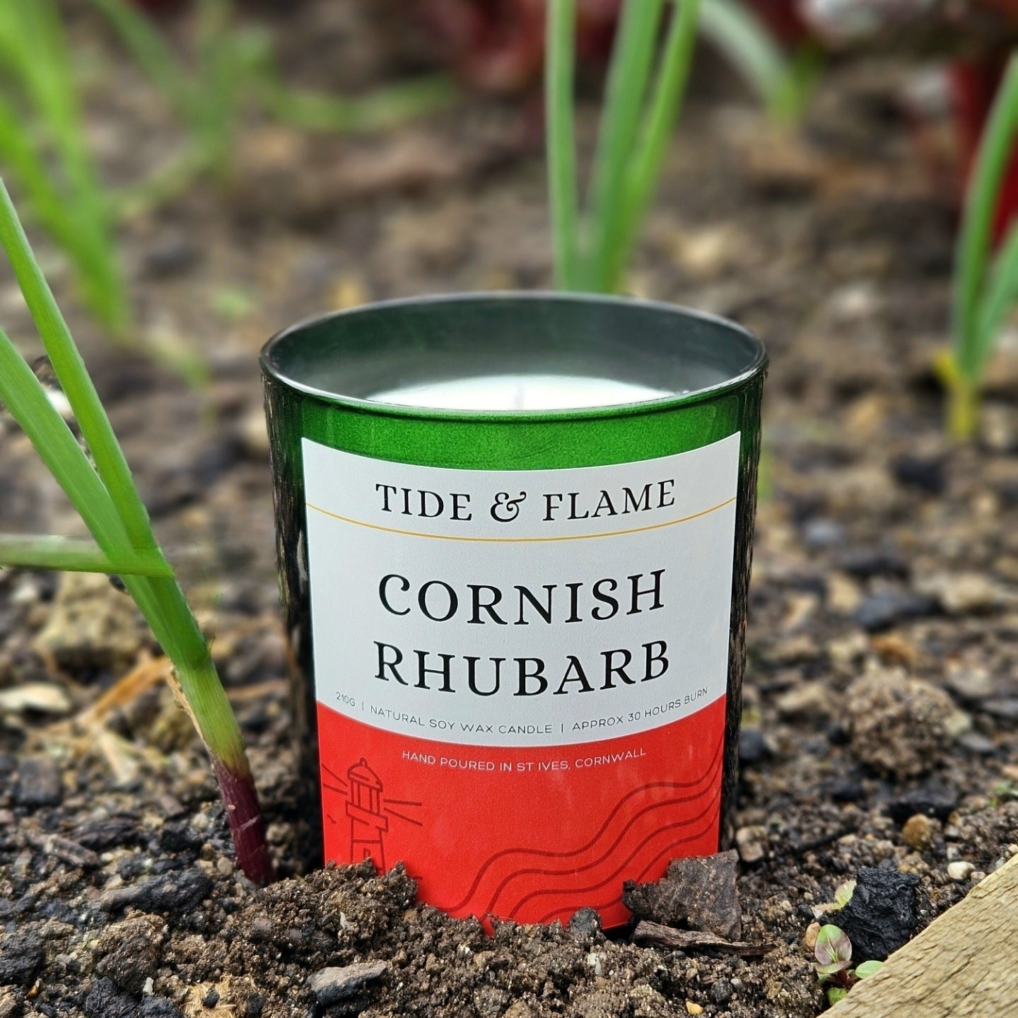 Cornish Rhubarb Soy Wax Candle Jar