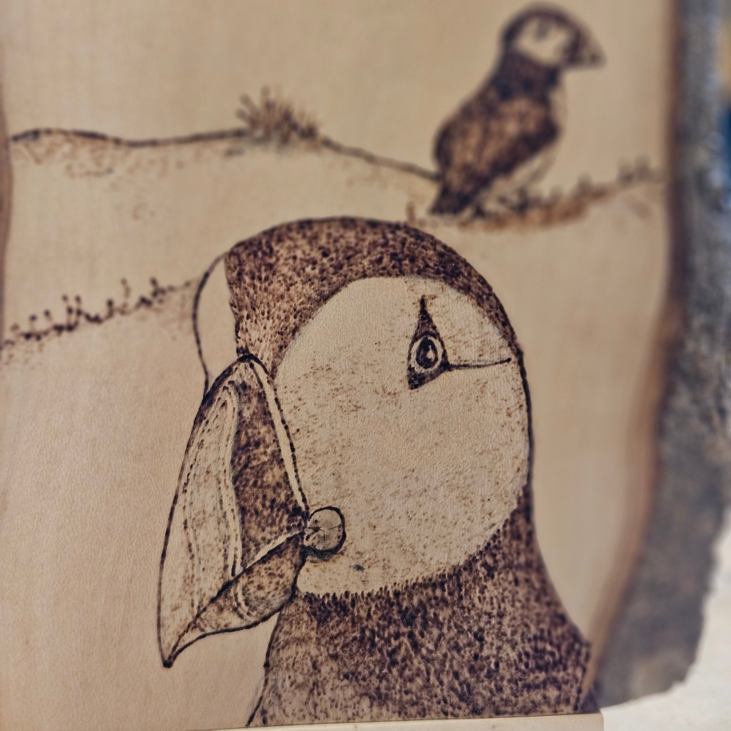 Puffin Pyrography Picture