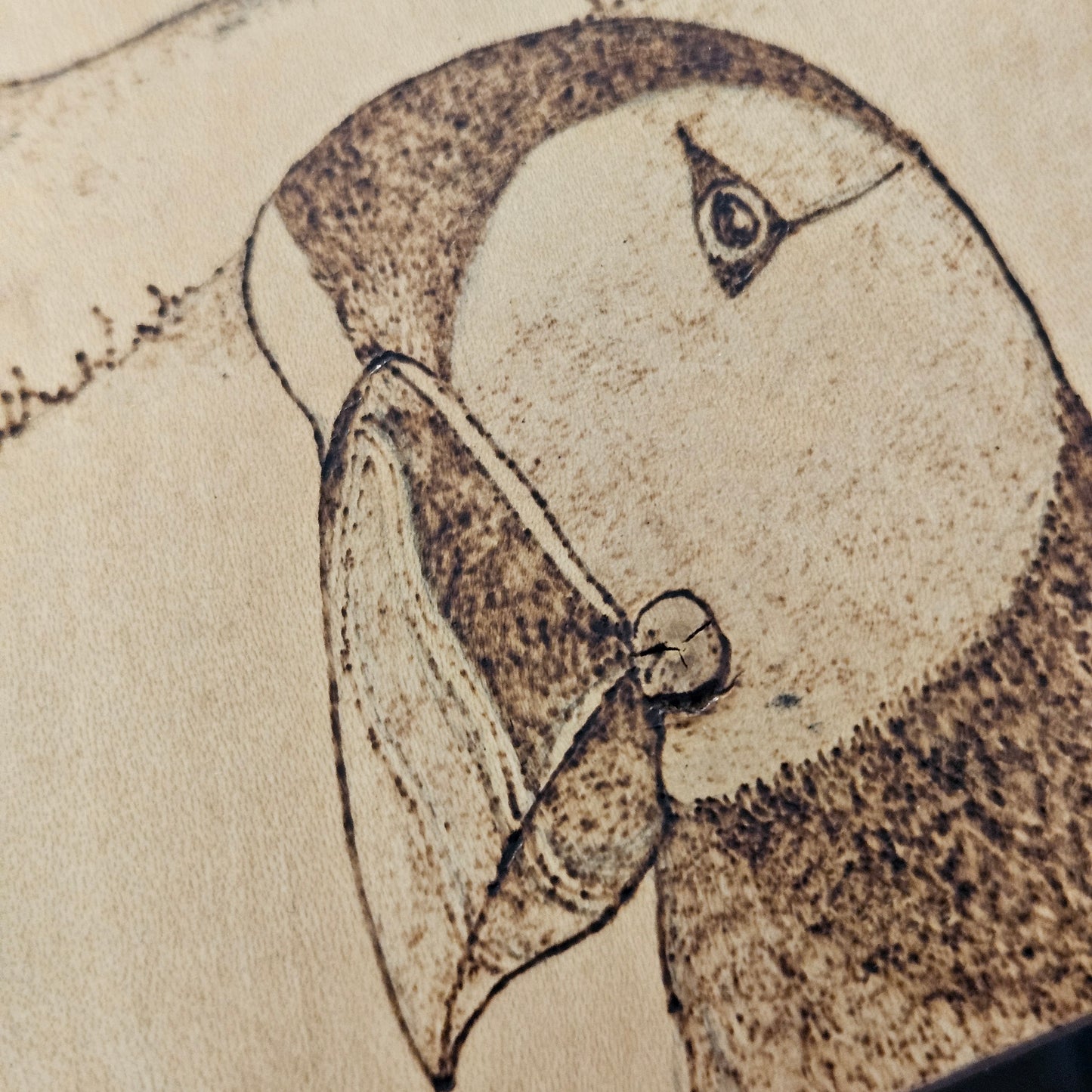 Puffin Pyrography Picture