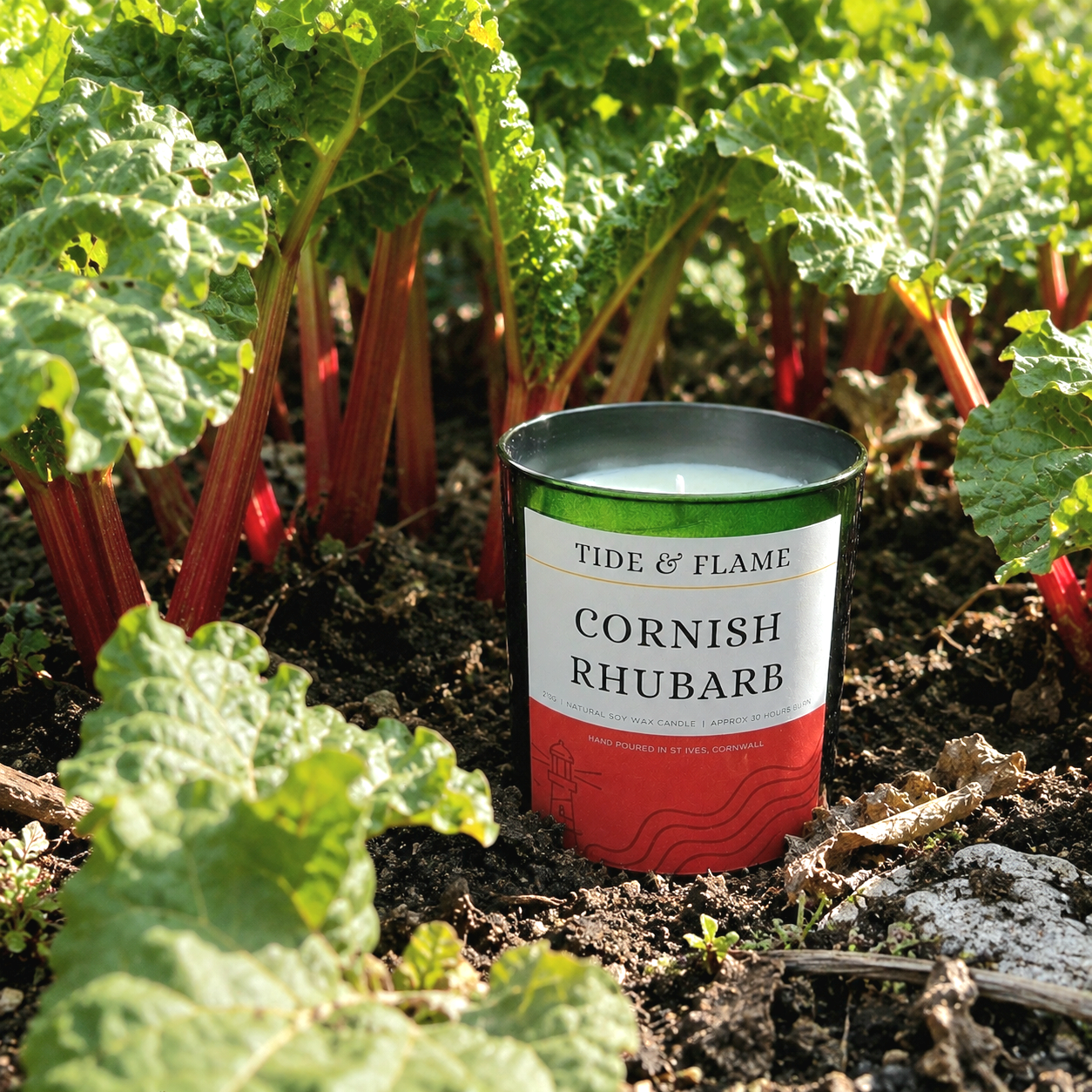 Cornish Rhubarb Soy Wax Candle Jar